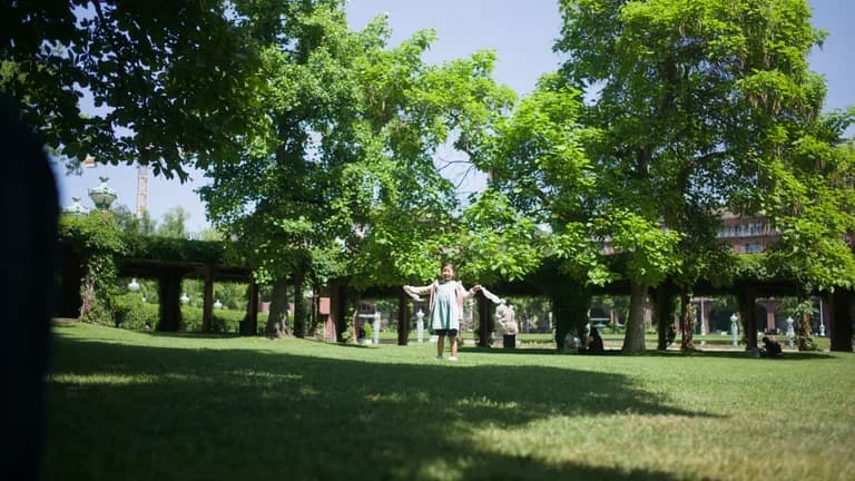 On the green lawn